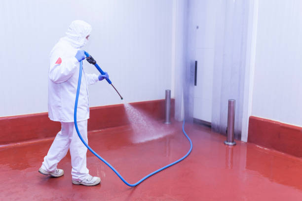 Best Boat and Dock Cleaning  in Hasbrouck Heights, NJ